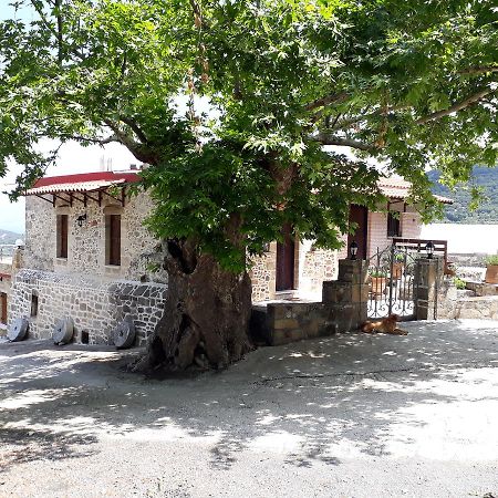 كيساموس Traditional House Koukounara المظهر الخارجي الصورة