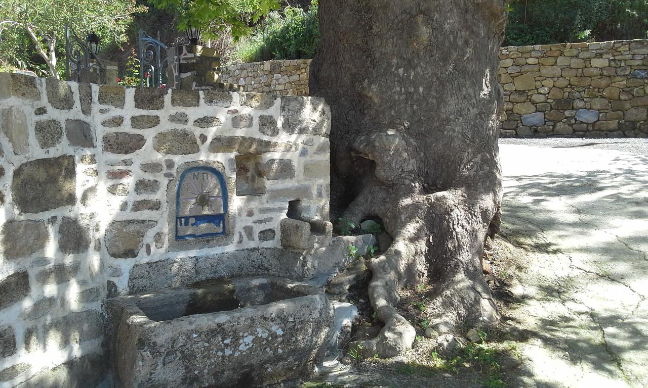 كيساموس Traditional House Koukounara المظهر الخارجي الصورة