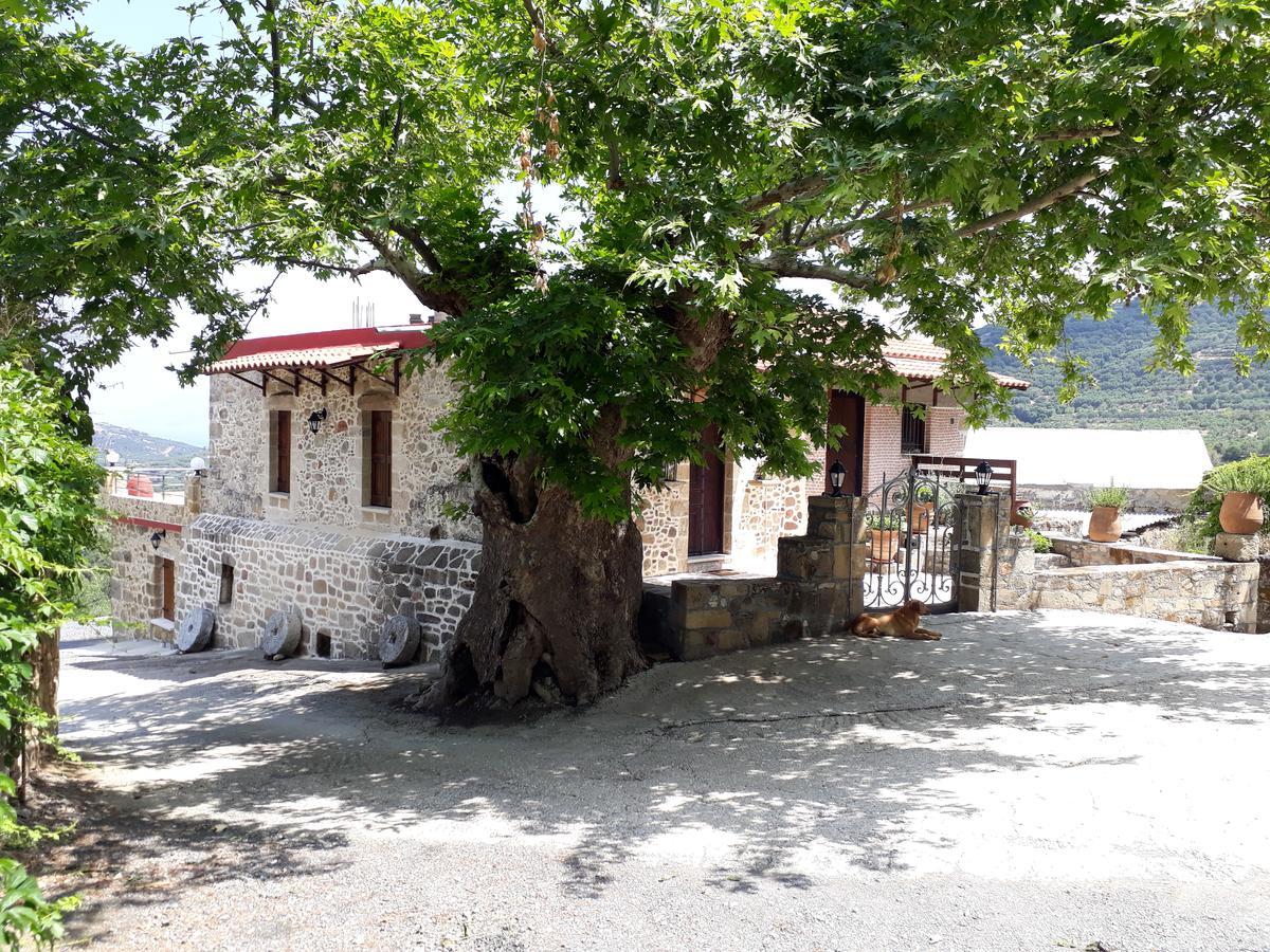 كيساموس Traditional House Koukounara المظهر الخارجي الصورة
